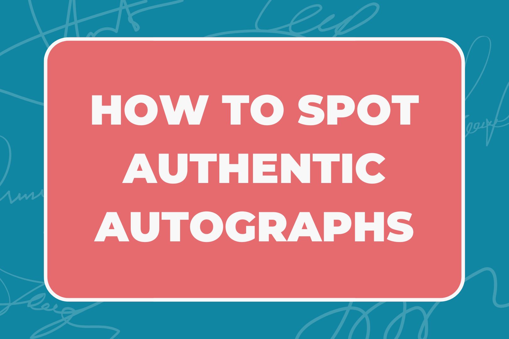 Autograph Sign Spot Authentic Autographs & Collectibles: A Must-Read Guide – Signet ...